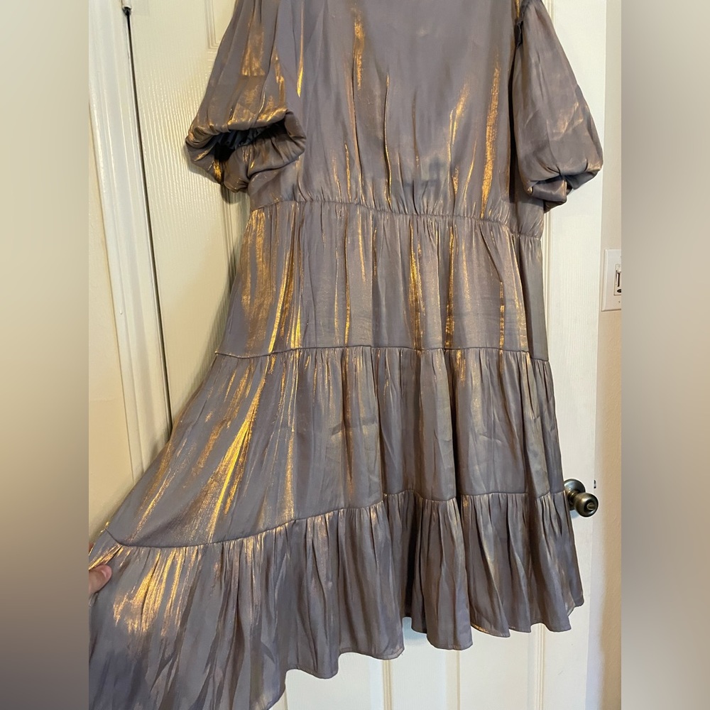 Elegant Metallic Dress - Picture 5 of 5